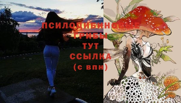 соль ск Армянск