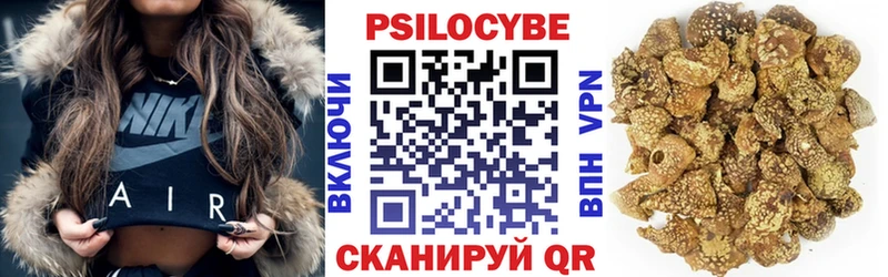площадка клад  Теберда  Галлюциногенные грибы Psilocybe  МЕГА ссылки 